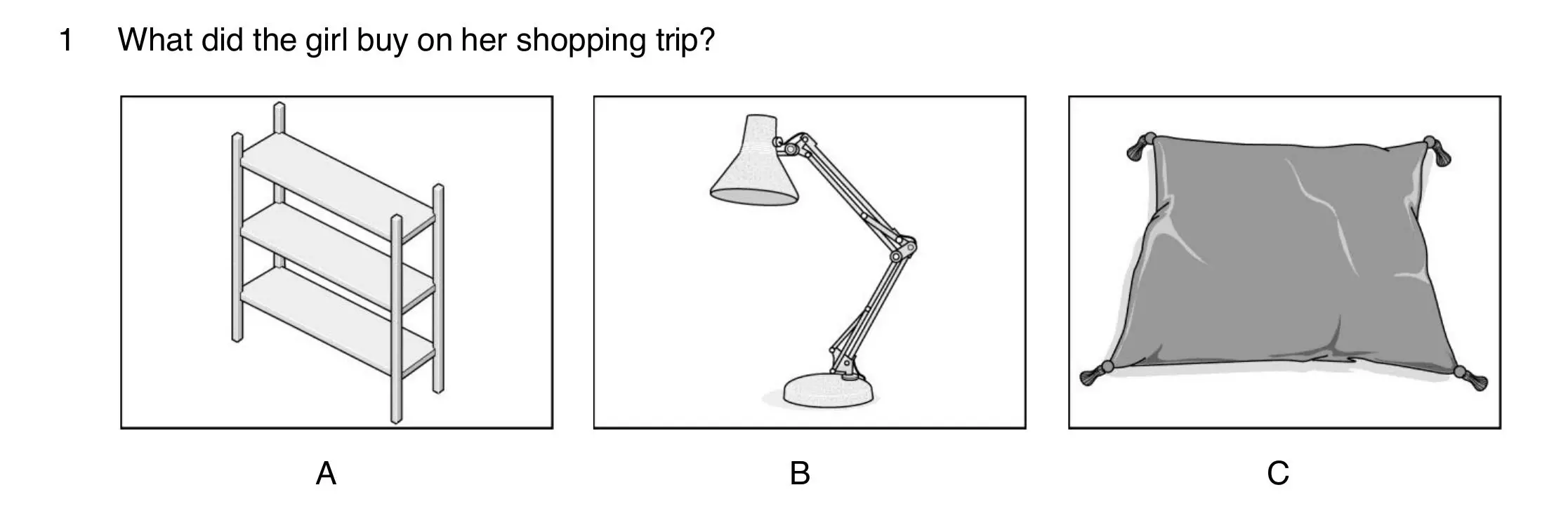 Question 1 of B1 Listening Part 1: what the girl bought on her shopping trip